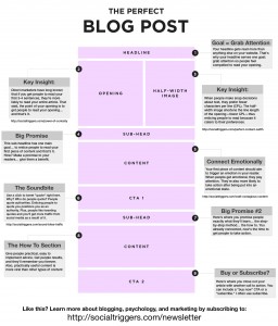 The Perfect Blog Post infographic by SocialTriggers.com.